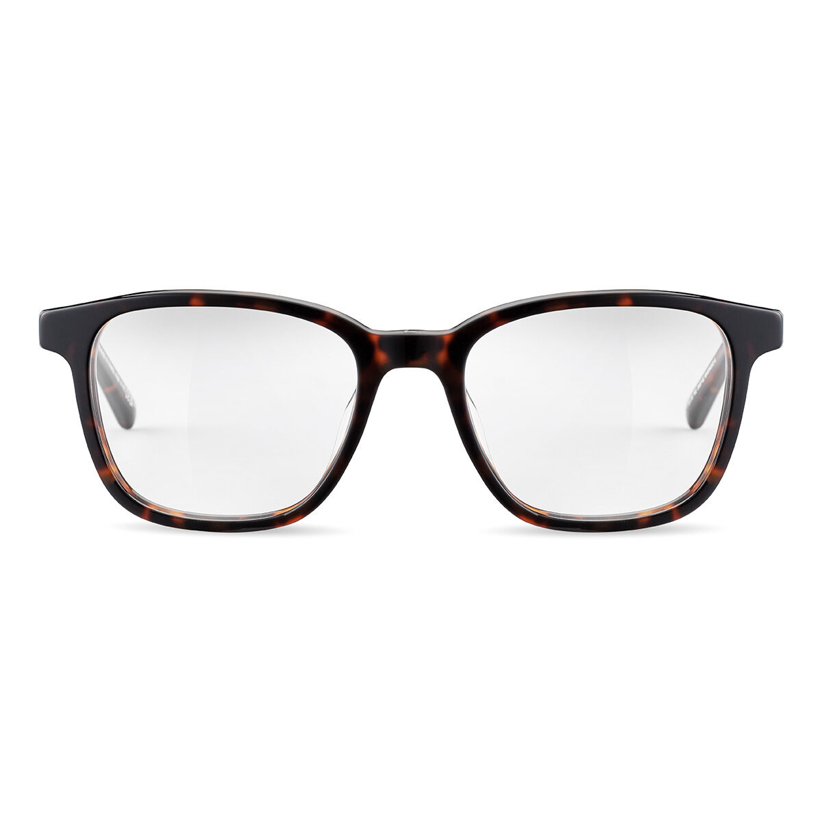 JASP 02 Eyeglasses | Bollé display picture 3
