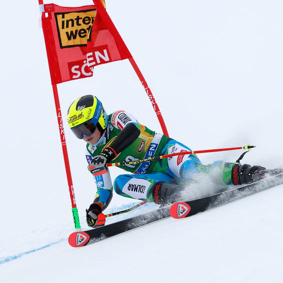 Neja Dvornik